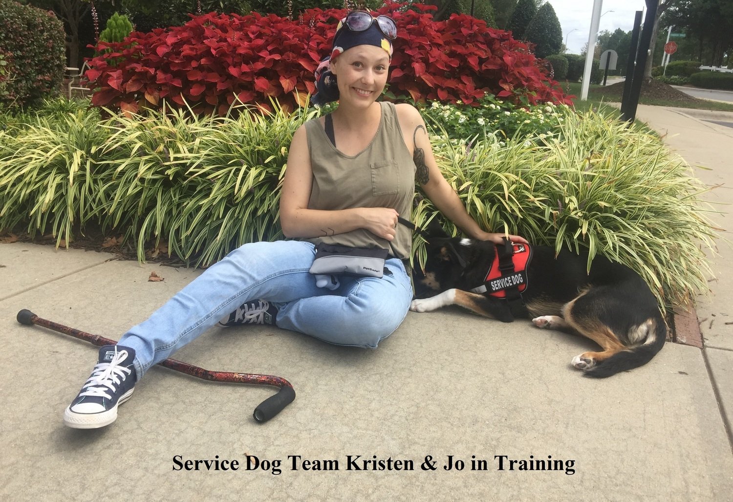 00017_Donate to Support Service Dog Team Kristen &amp; Jo: If You Choose to Give an Amount Which is Different From Available Donation Options, You can Combine Buttons.