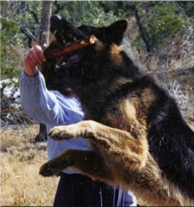 00004_Private Lessons|Package of 3