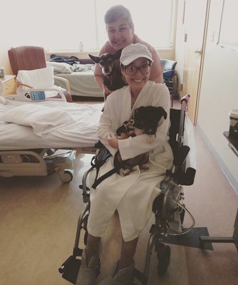 00009_Service Dog Evaluation|Initial Evaluation Only|Selection of dog (if needed)and subsequent training are separate.