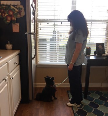 00010_Private Lessons|Package of 2