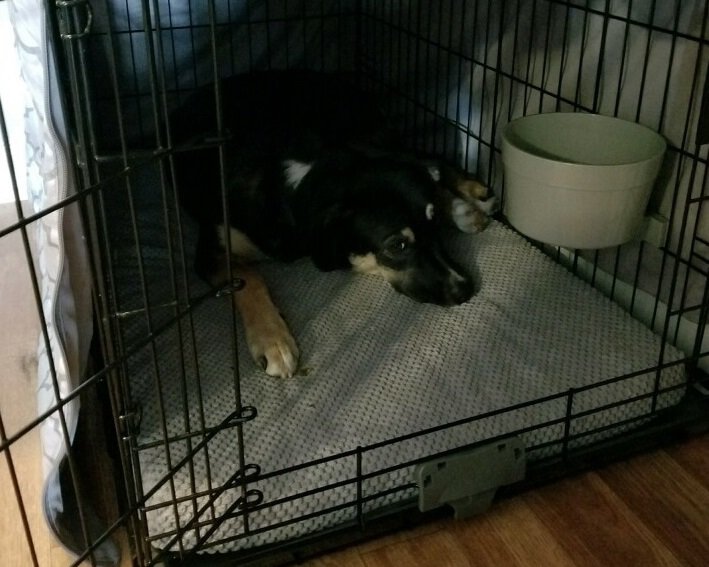 00011_Private Lessons|Package of 4