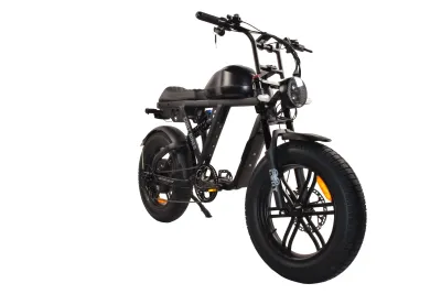 Electric Bikes