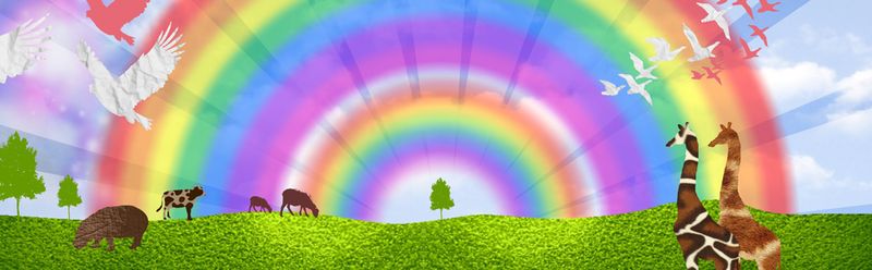 Genesis 9 - The rainbow of Noah's covenant