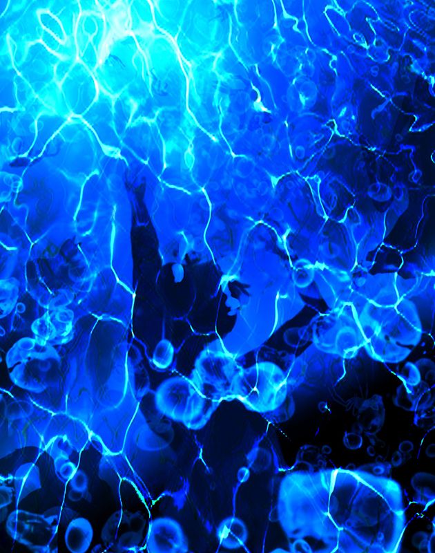 Genesis 7 - And the Waters Prevailed Exceedingly on the Earth