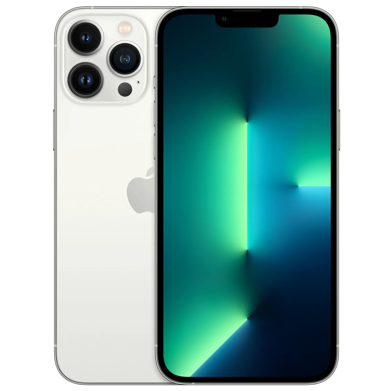 iPhone 13 Pro Max 256GB - Zilver