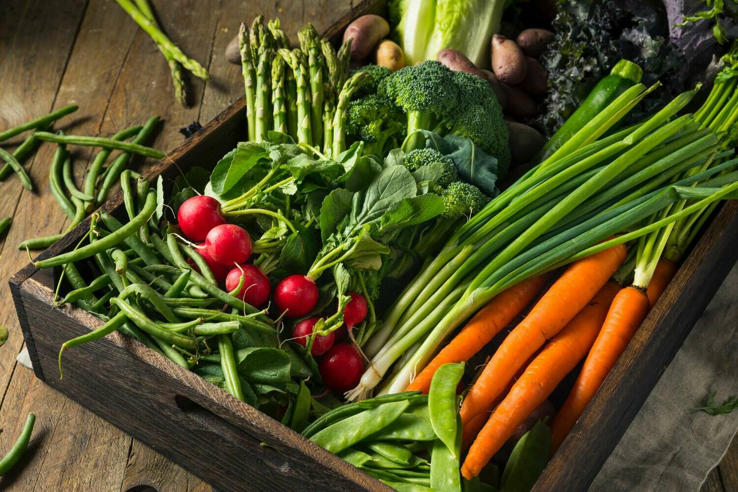 Virtual Webinar! Elevate Your Cooking Game! Virtual Webinar! Elevate Your Cooking Game!