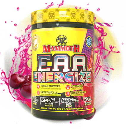 MAMMONTH EAA ENERGIZE/ 30 SRV