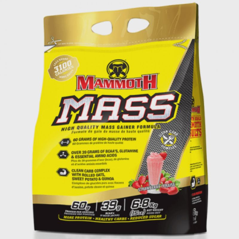 MAMMOTH  MASS