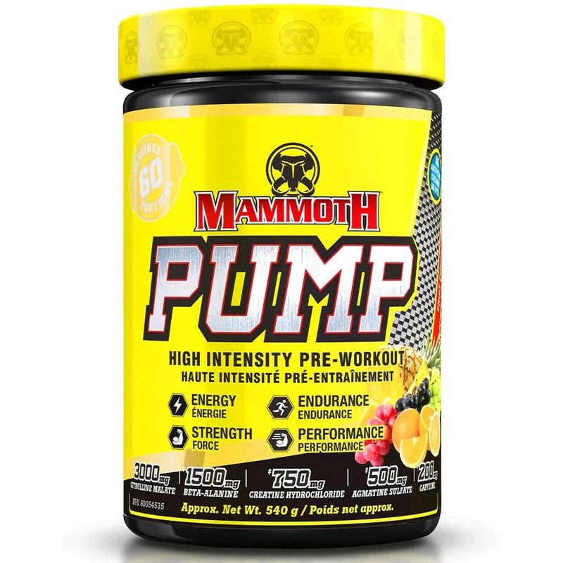 Mammoth Pump