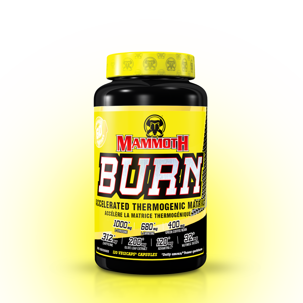 MAMMOTH BURN-120 CT