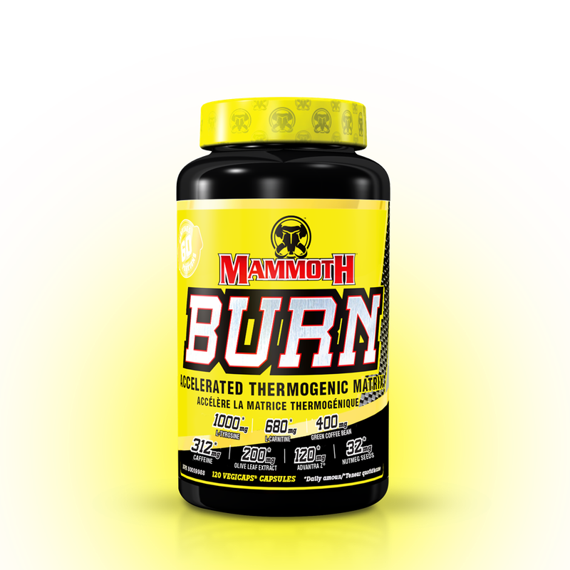 MAMMOTH BURN-120 CT