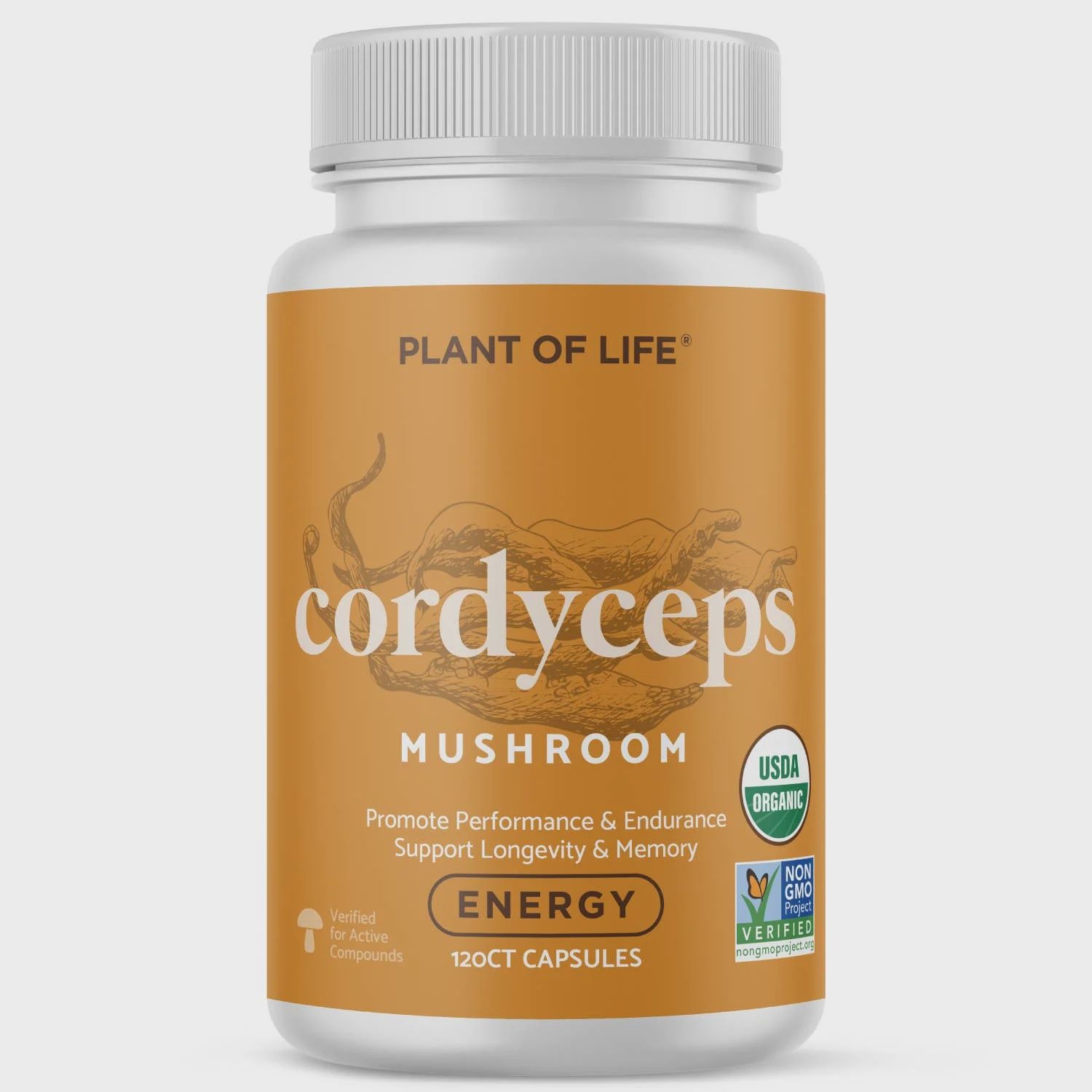 Cordyceps Mushroom Capsules