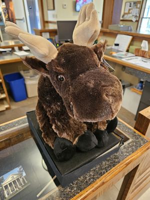 14" Moose Plush