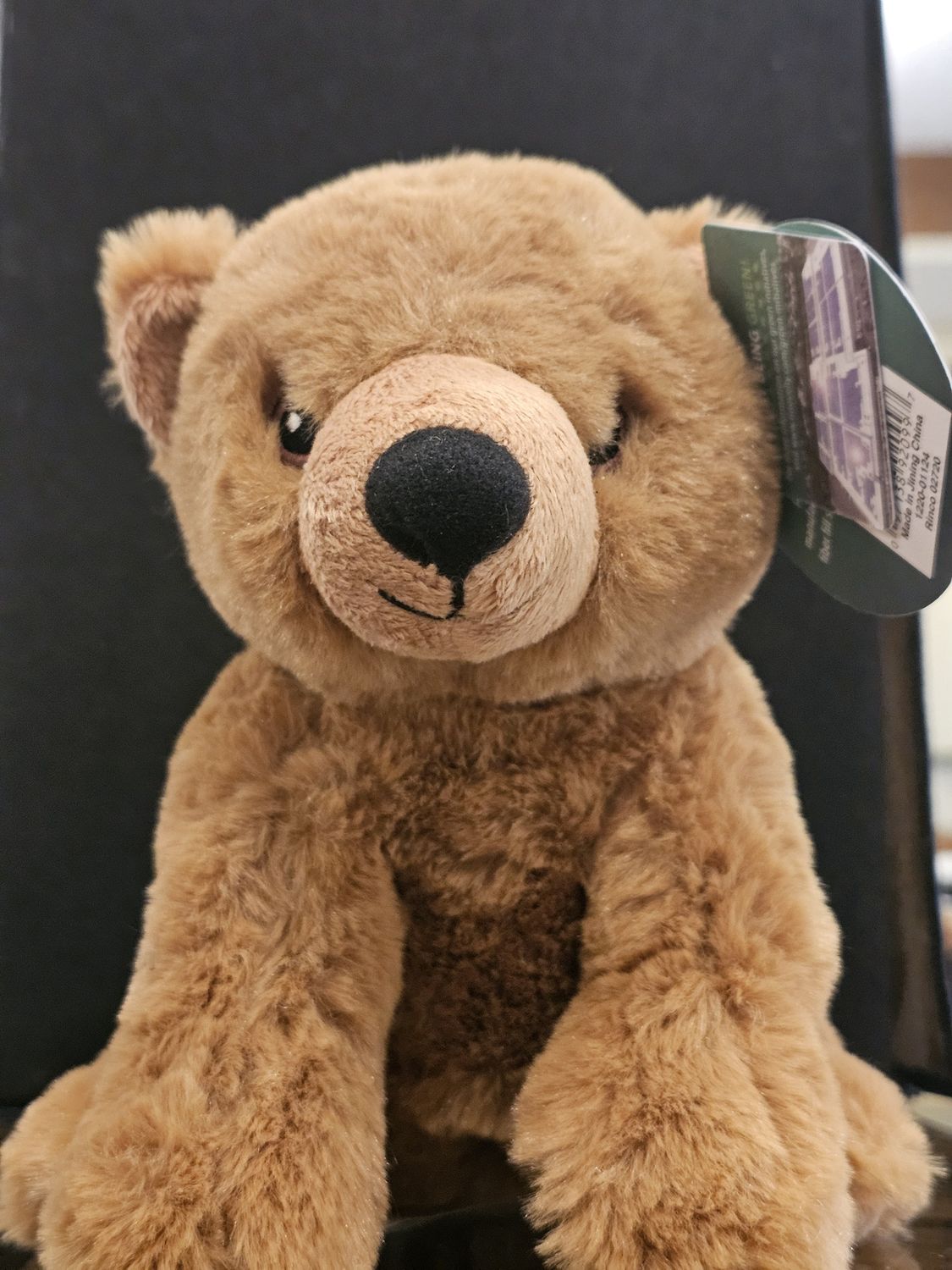 7.5&quot; Grizzly Bear Plush/Teddy Bear