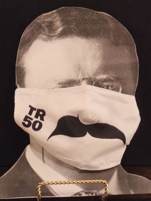 Theodore Roosevelt Face Mask