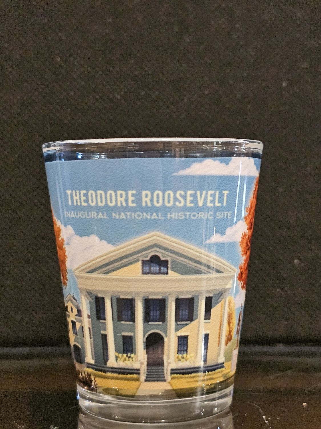 House Art Shot Glass
