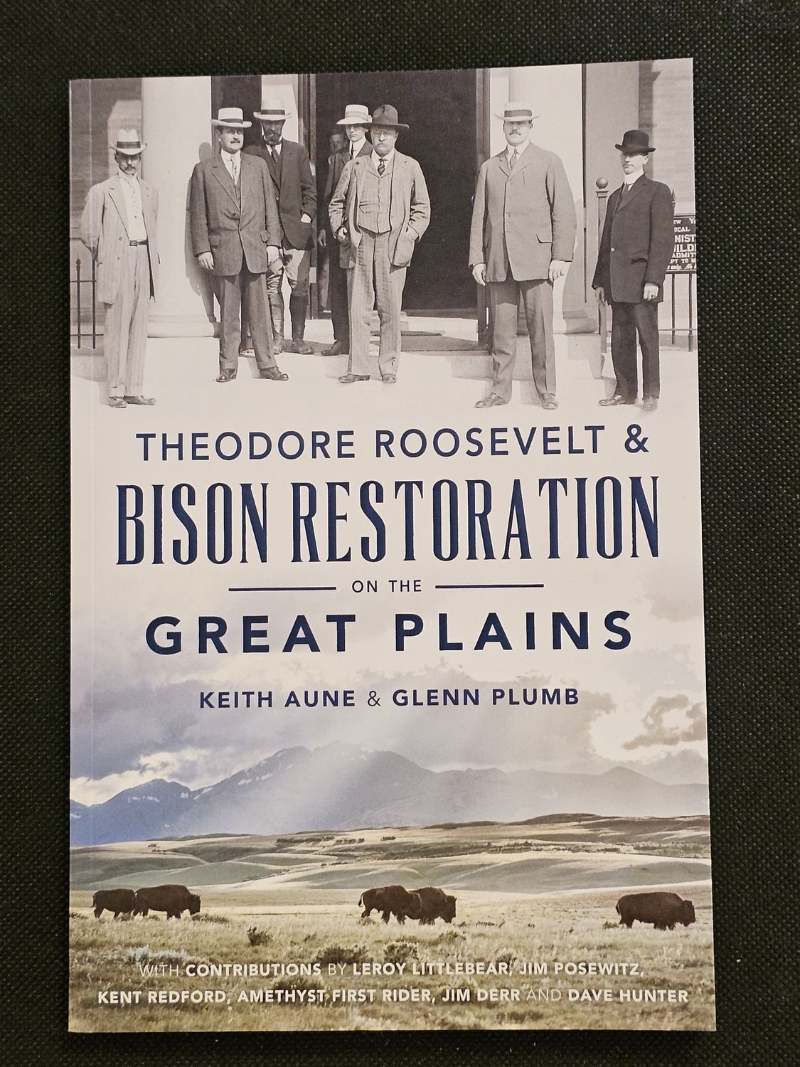 Theodore Roosevelt &amp; Bison Restoration on the Great Plains
