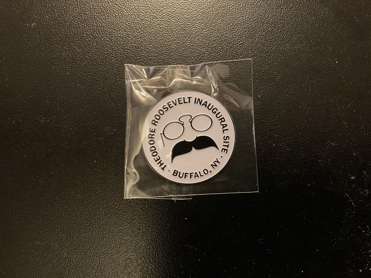 TR Logo Large Pin
