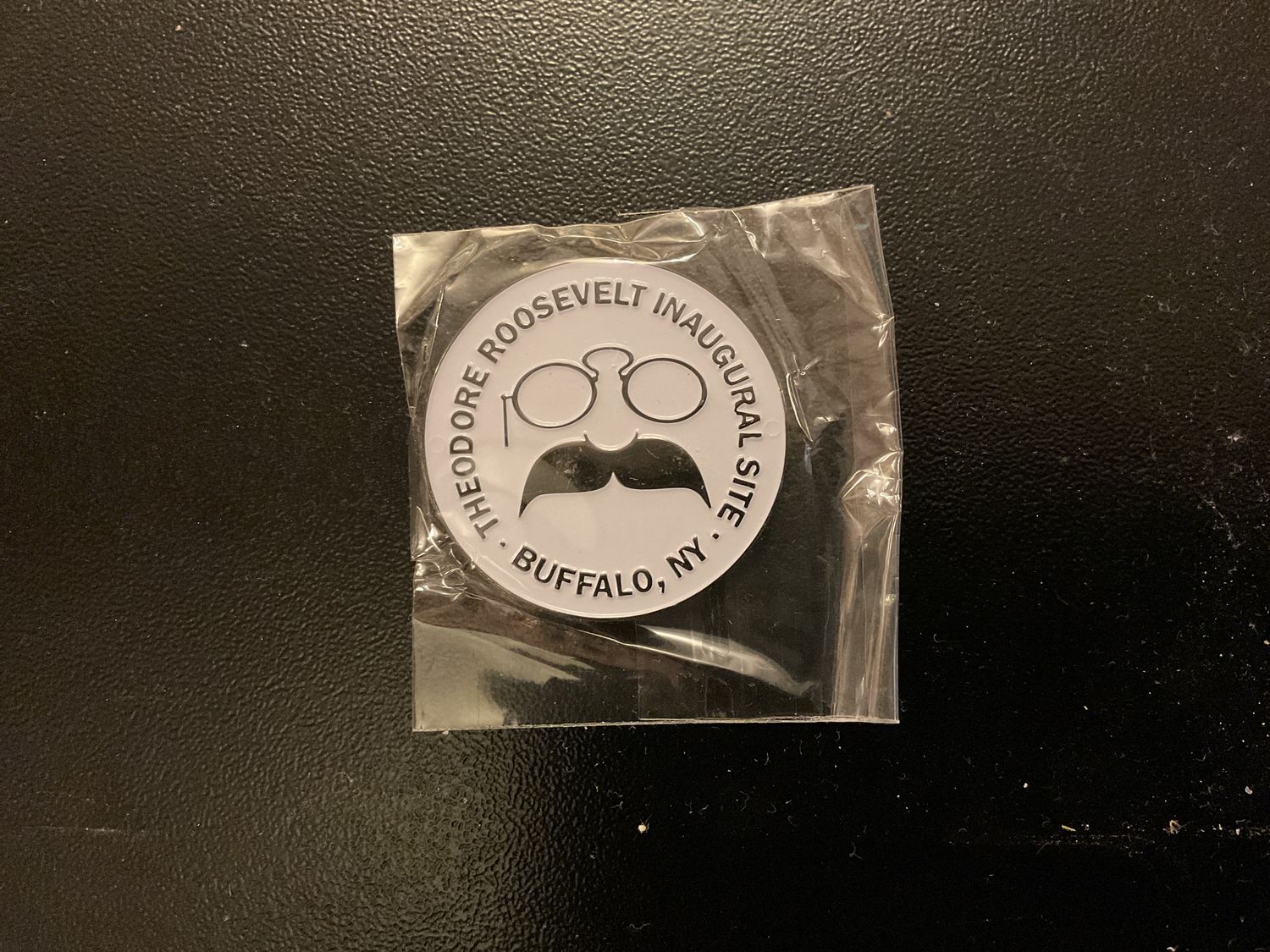 TR Logo Magnet