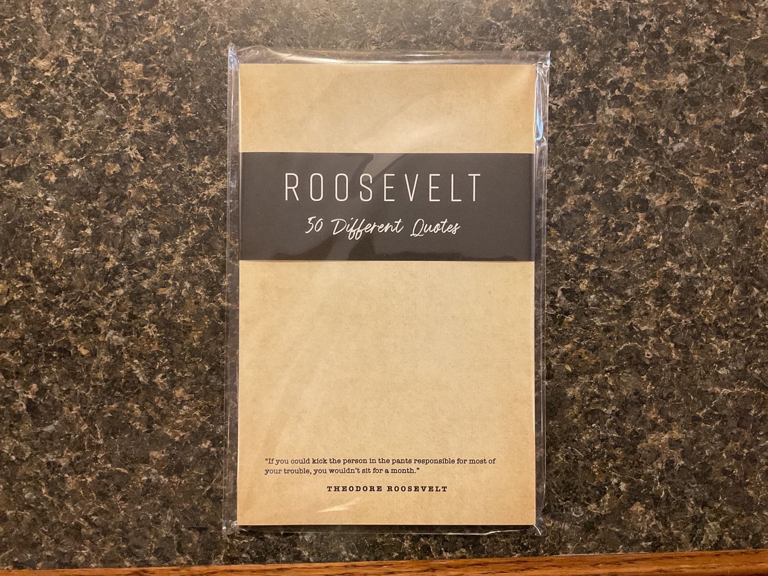 50 Theodore Roosevelt Quotes Notepad  5.5" x 8.5"