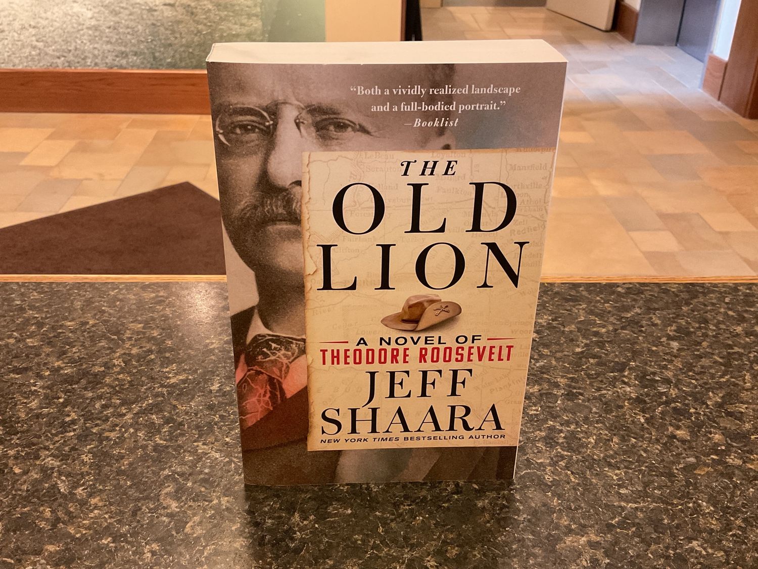 Old Lion, The: A Novel Of Theodore Roosevelt