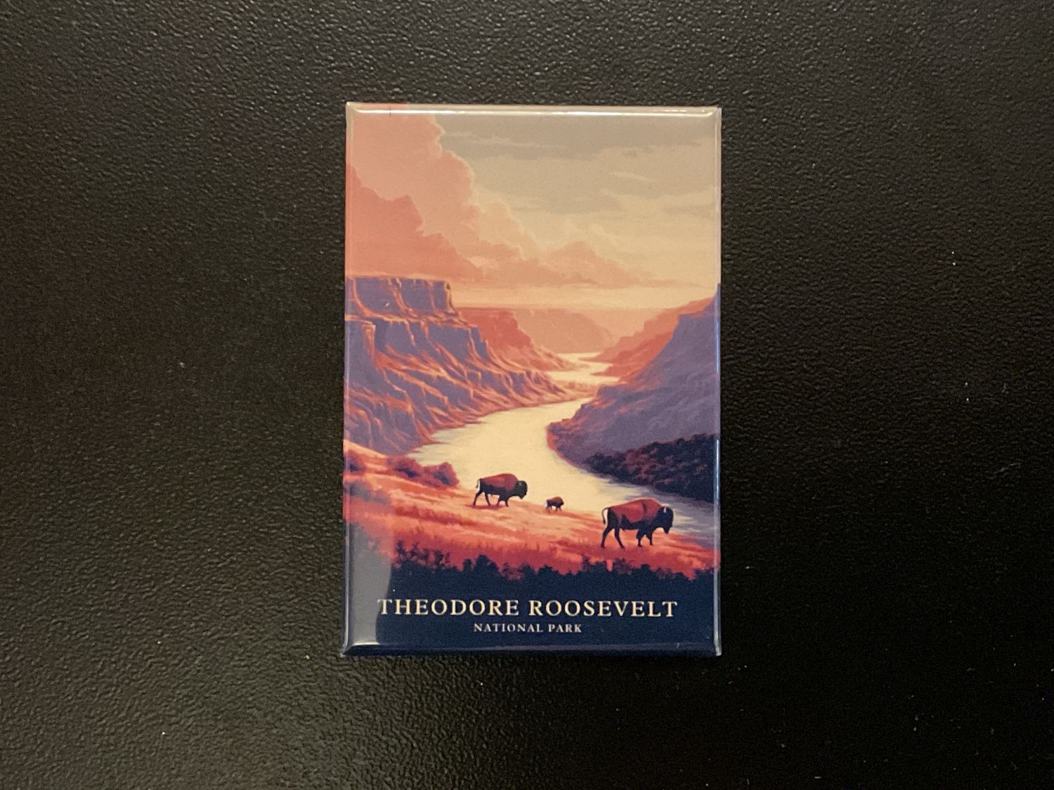 Theodore Roosevelt National Park Magnet