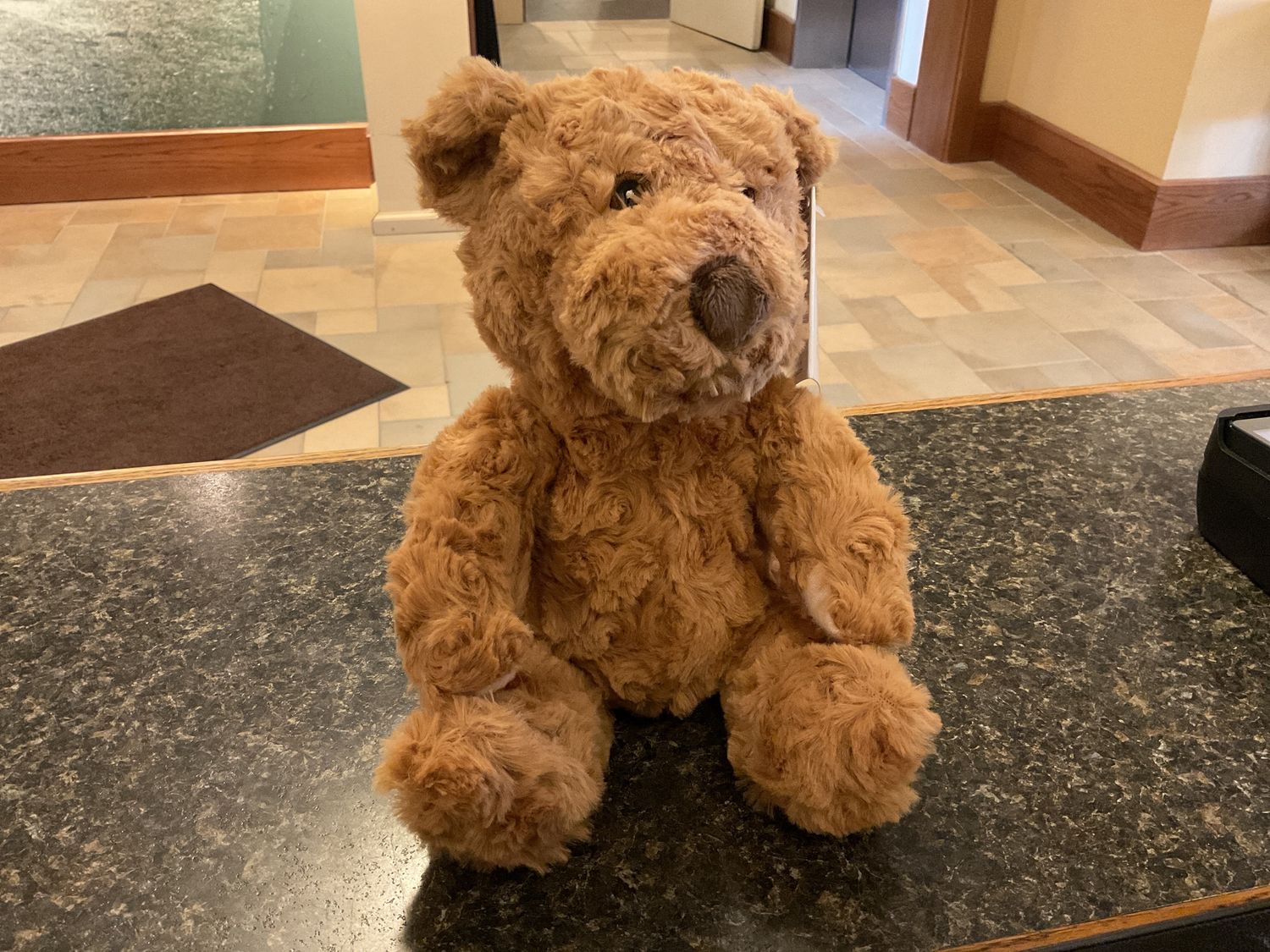 Wilberry Eco Teddy Bear