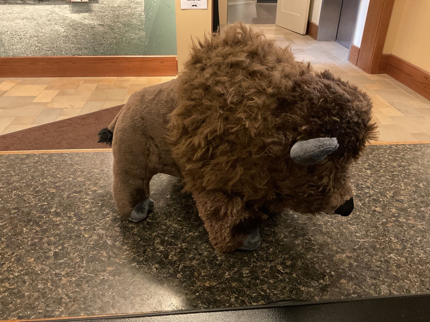 Stuffed Bison/Buffalo 12"