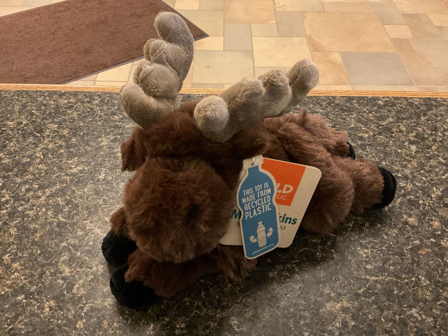 Mini Moose Plush 8"