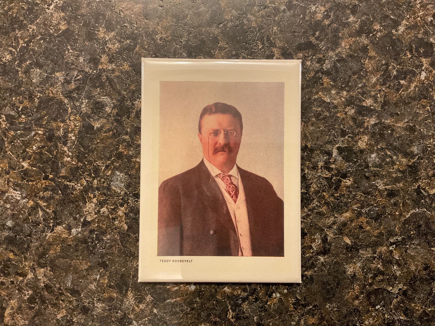 Magnet PR-108 Thedore Roosevelt