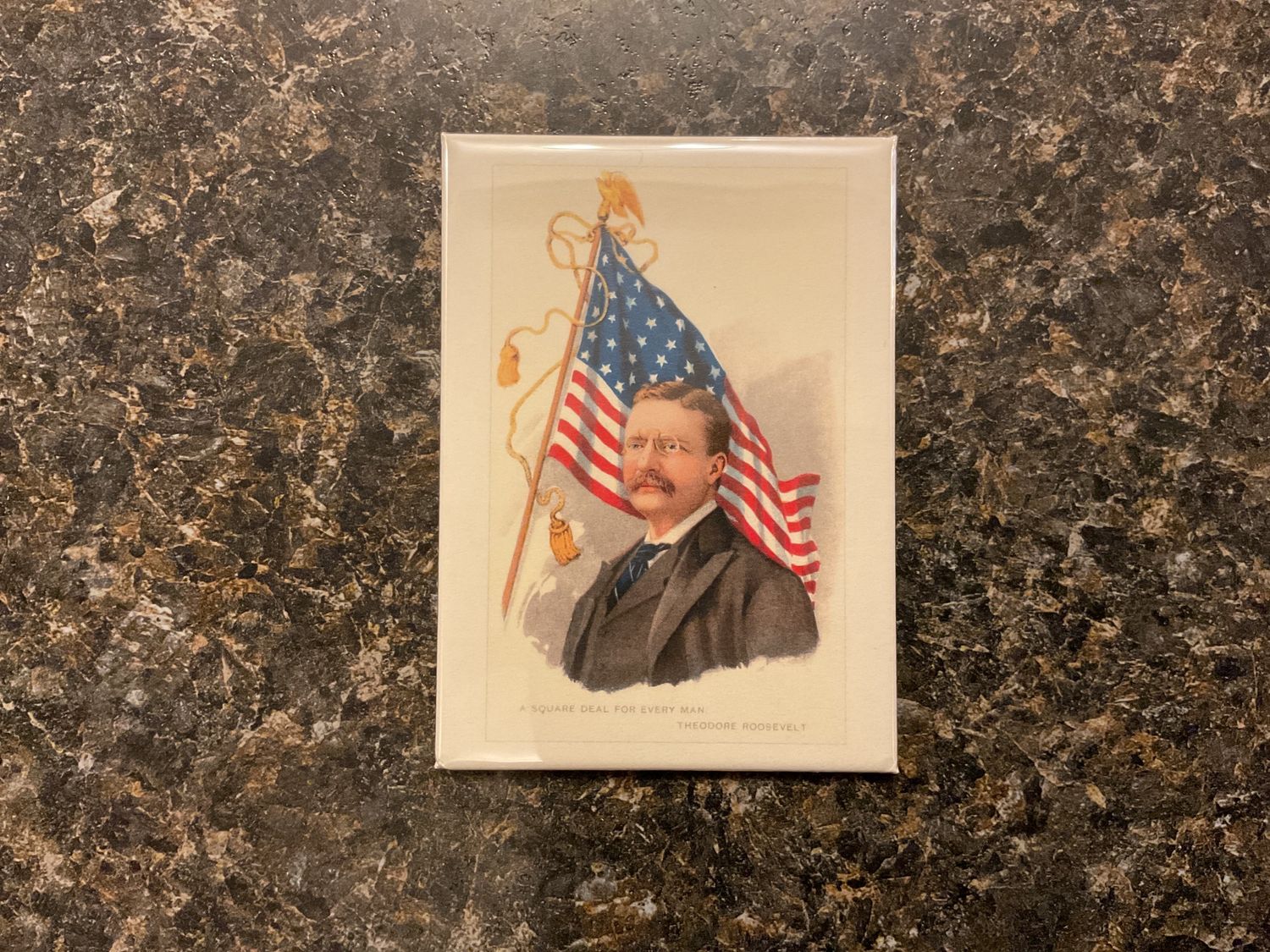 Magnet PR-42 Theodore Roosevelt and Flag