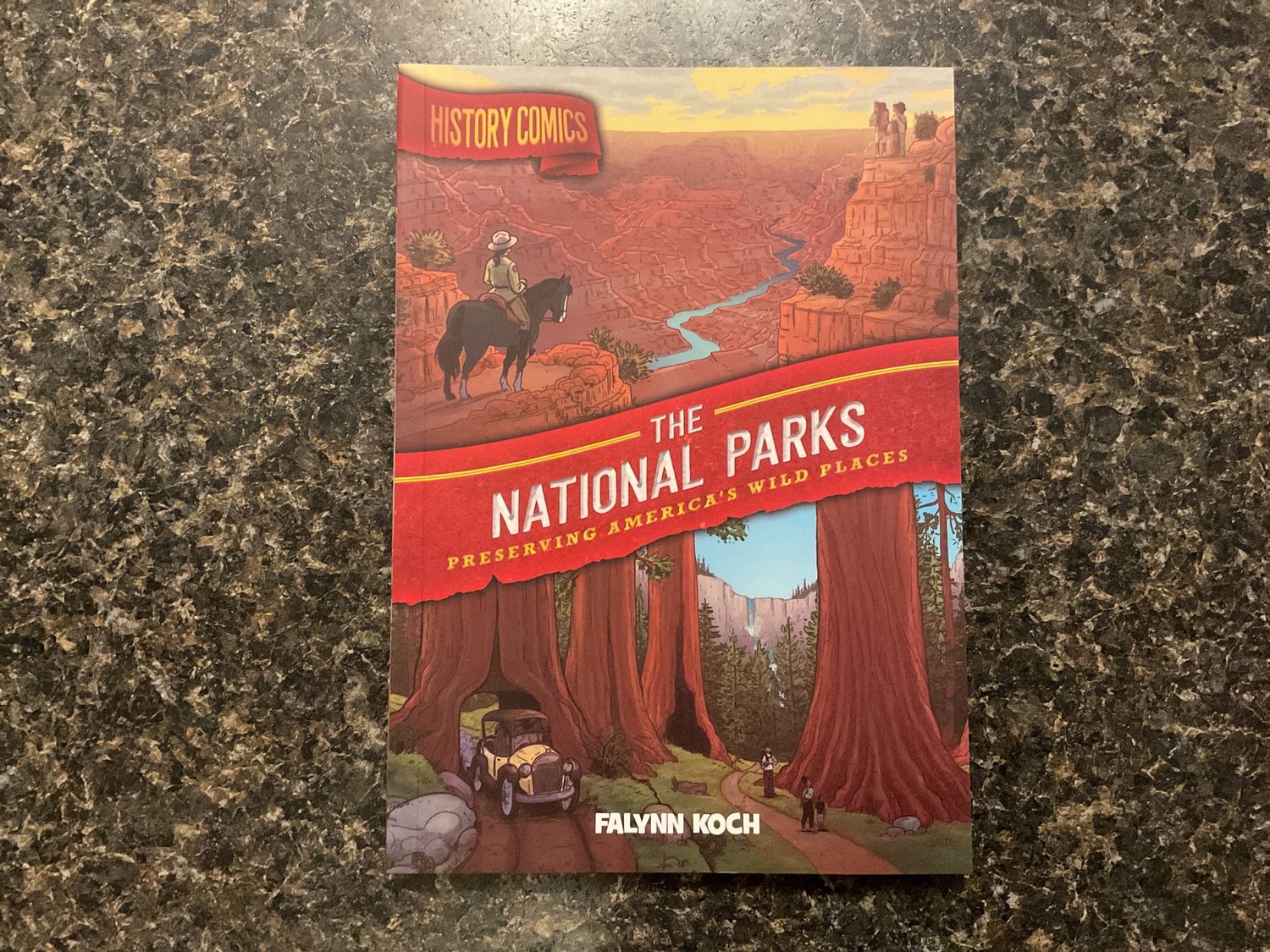 The National Parks: Preserving America’s Wild Places