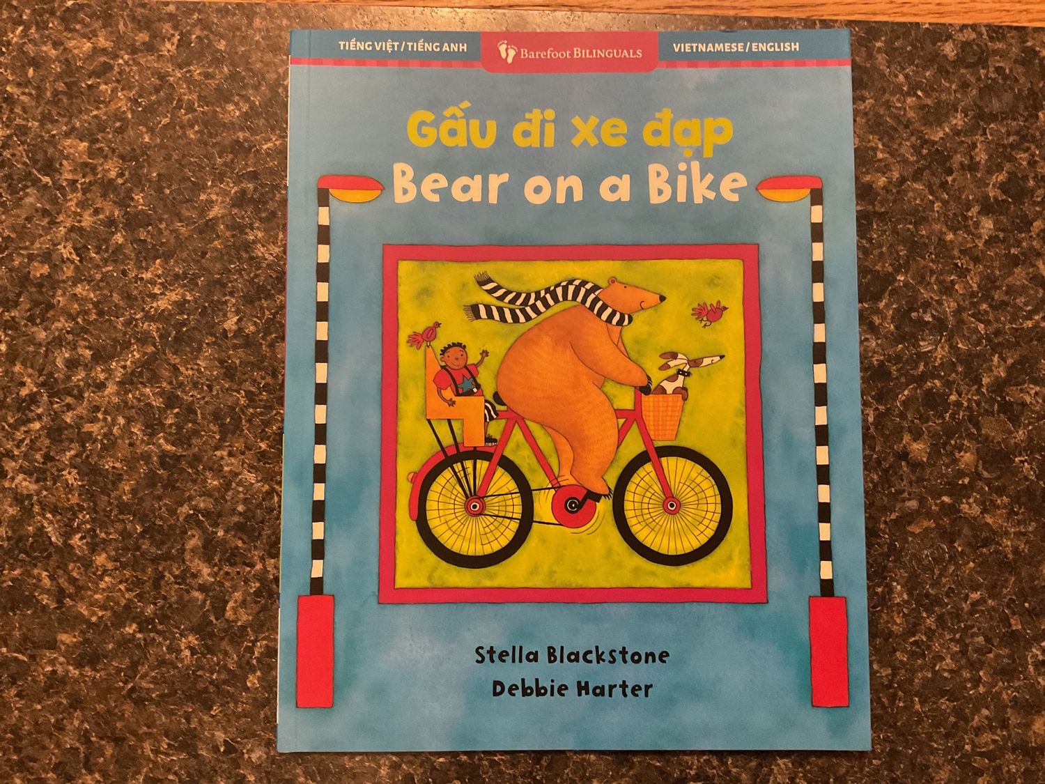 Bear on a Bike/Gấu đi xe đạp