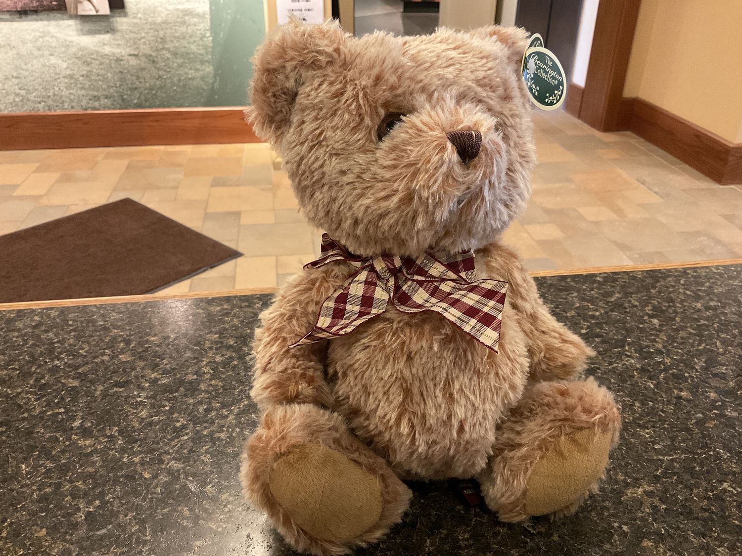 Shaggy the Teddy Bear