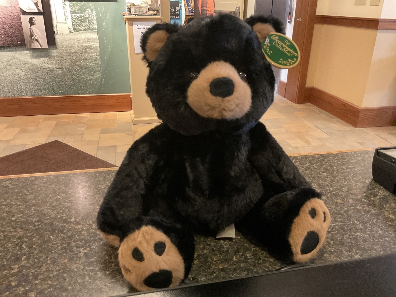 Woody the Teddy Bear