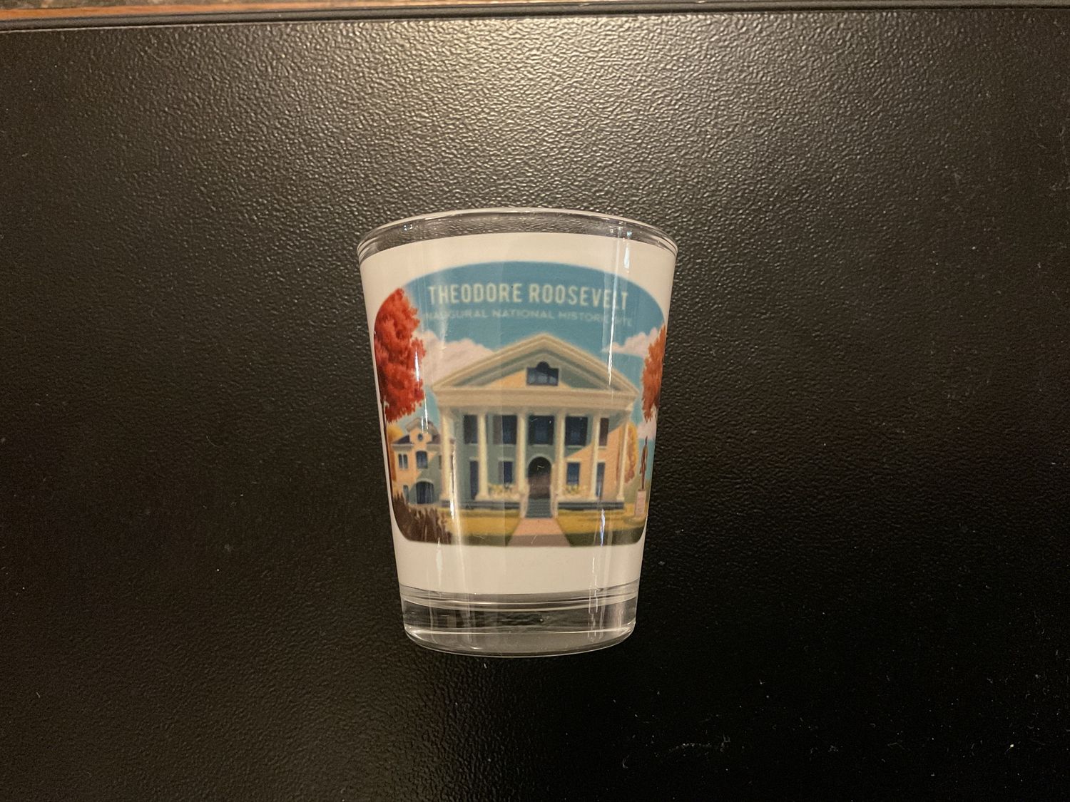 House Art Shot Glass
