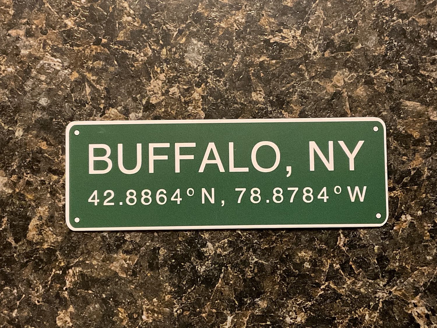 Buffalo Coordinates Sign Magnet