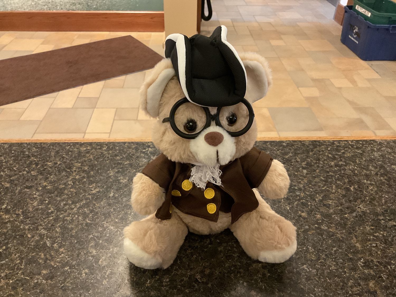 Colonial Teddy Bear