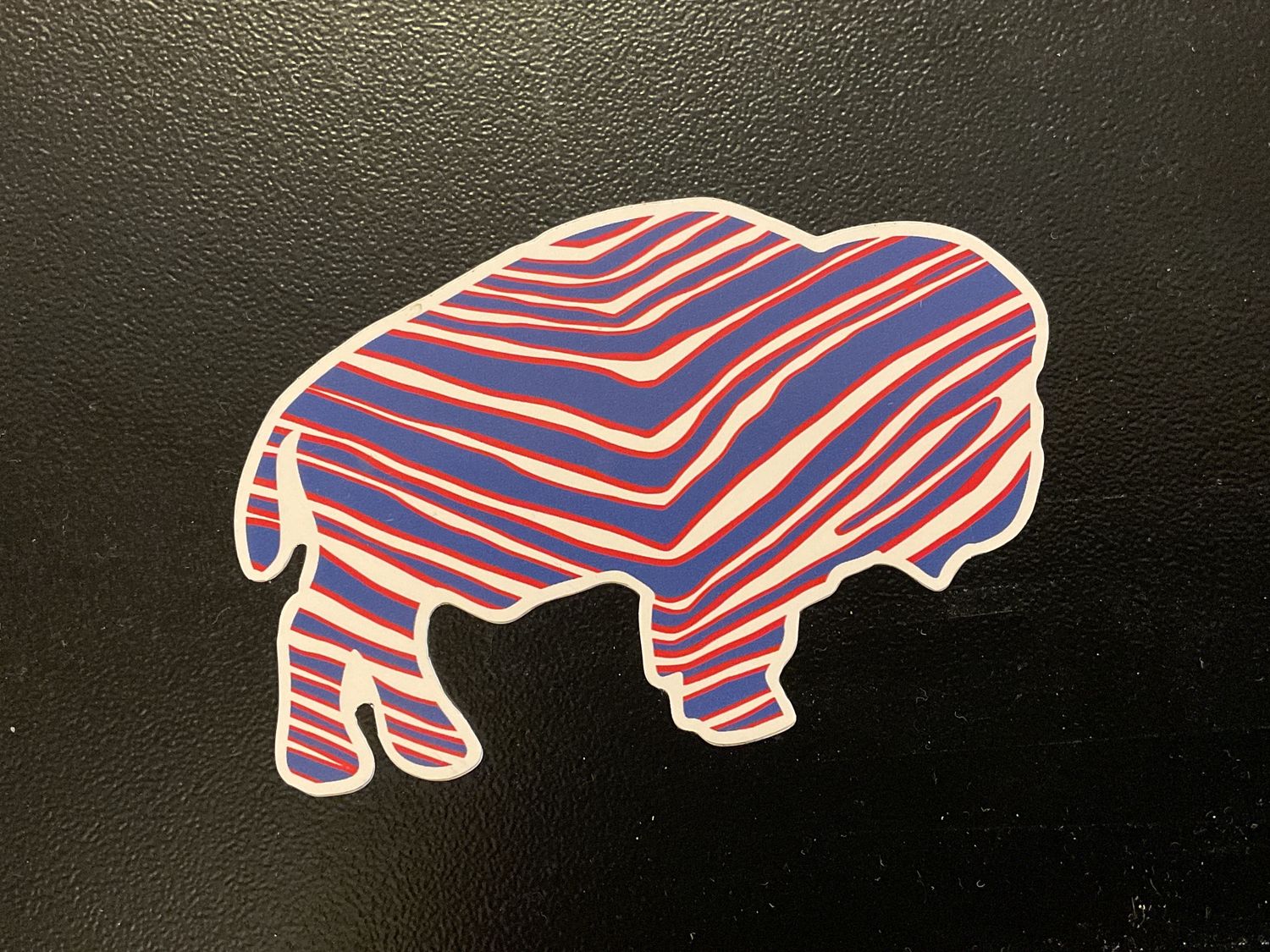 Zebra Print Buffalo Magnet