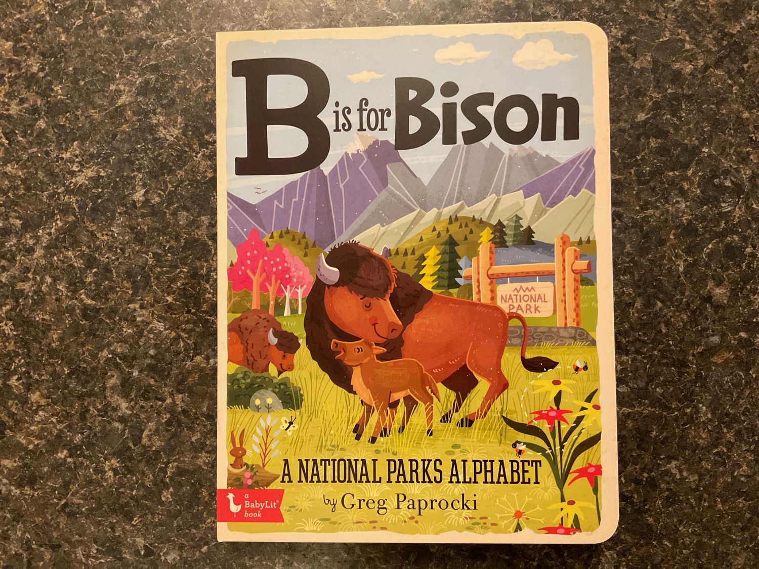 B is for Bison