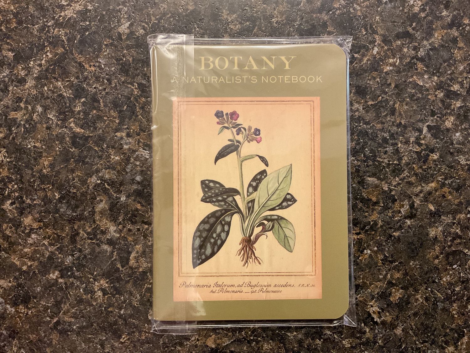 Botany Notebook