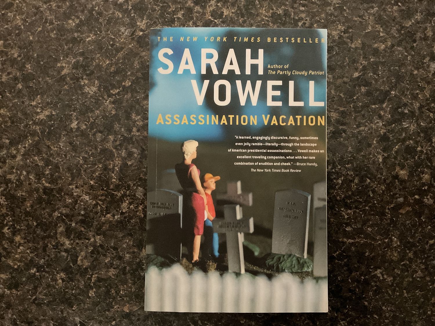 Assassination Vacation
