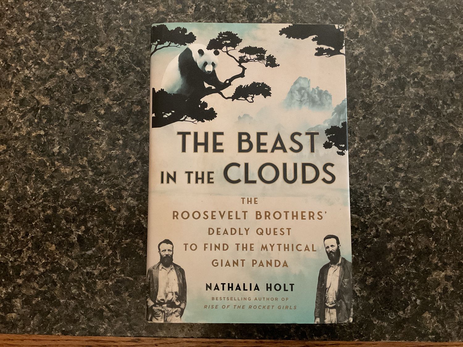 The Beast In The Clouds