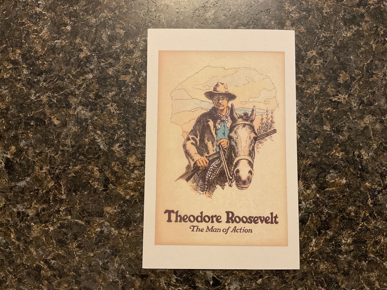 Theodore Roosevelt Man of Action Postcard