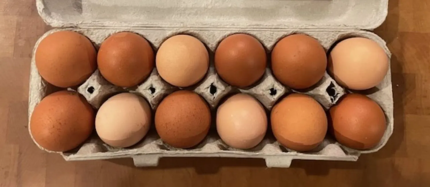 Eggs - Dozen