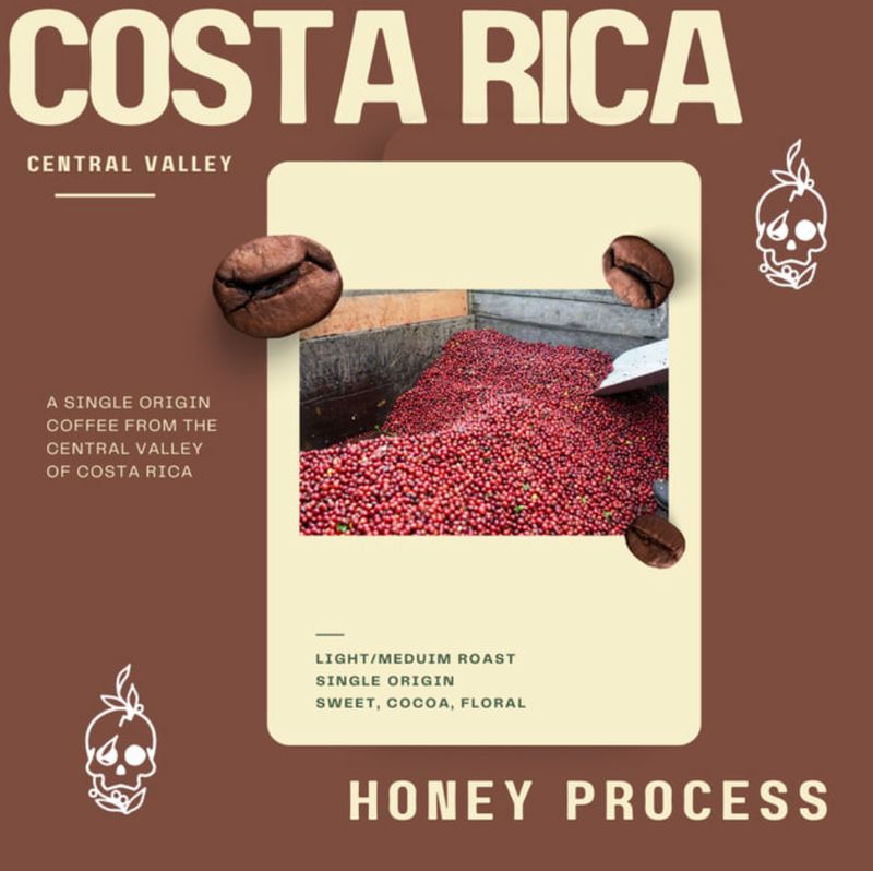 Costa Rica - Central Valley