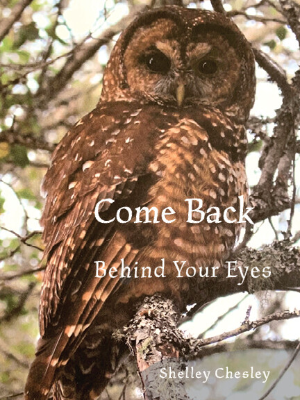 Come Back Behind Your Eyes
