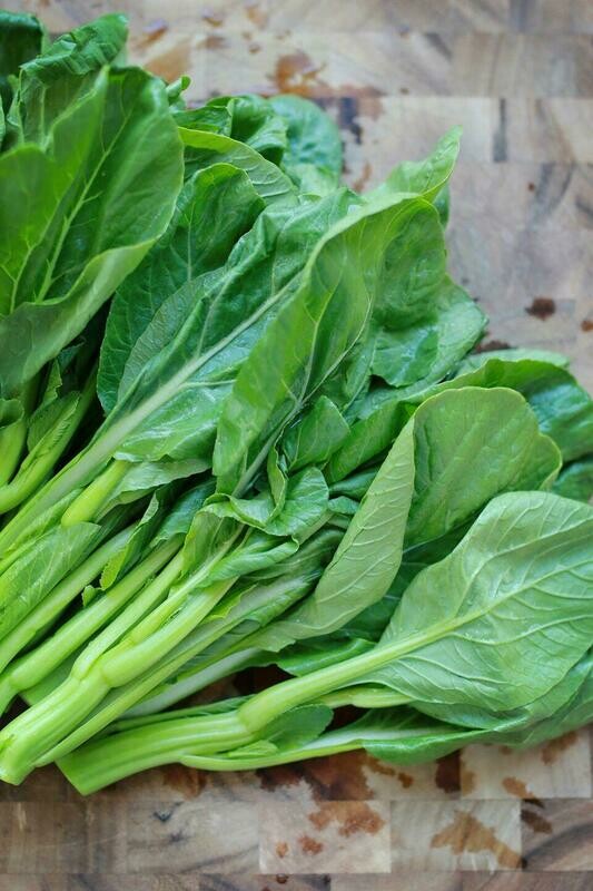 Yuchoy miu / 油菜苗