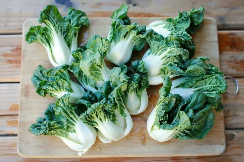 Bokchoy  / 白菜