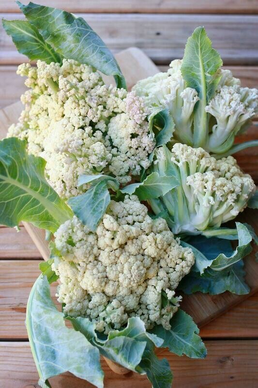 Asian cauliflower / 散花